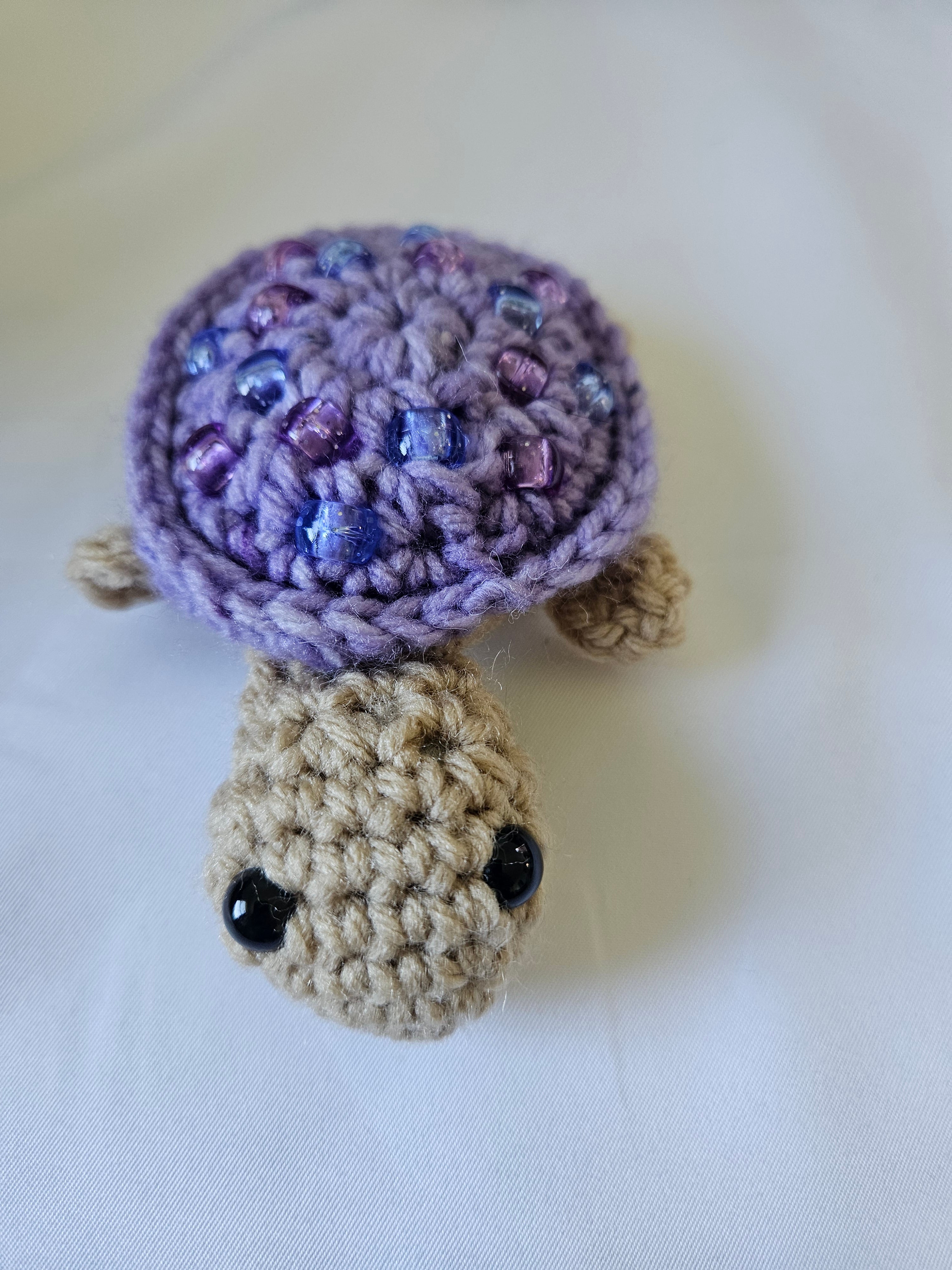 Fidget Turtle