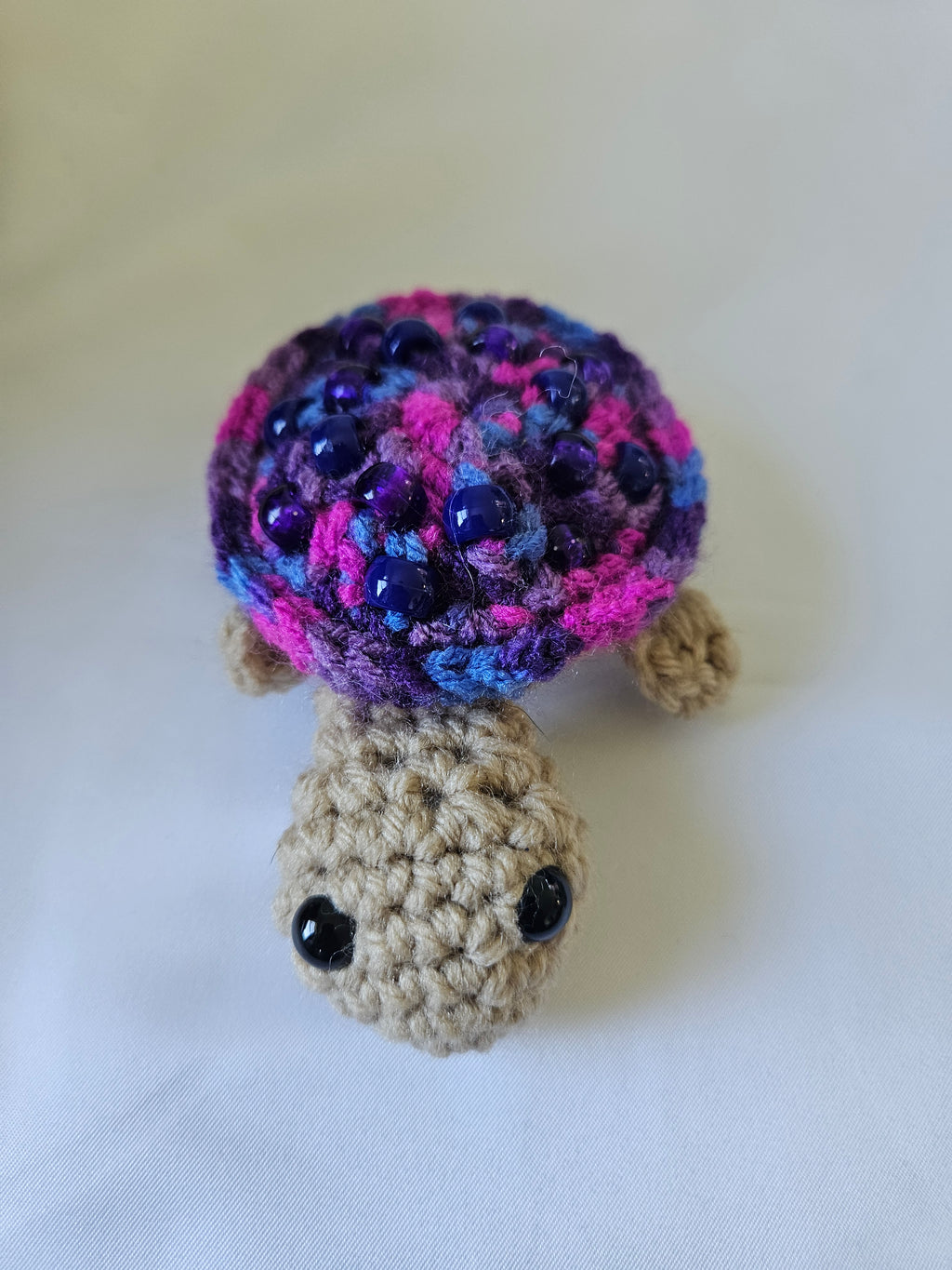 Fidget Turtle