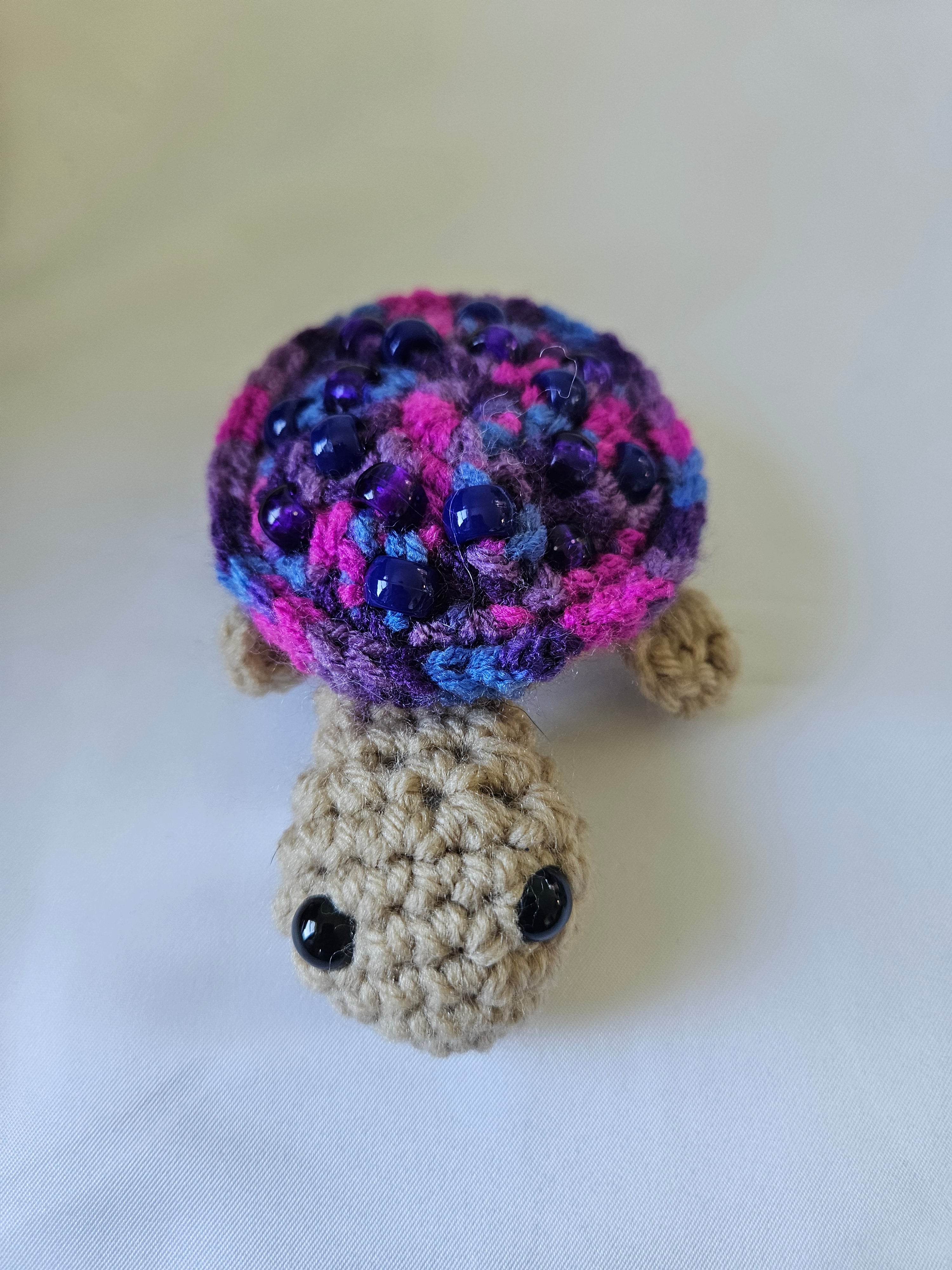 Fidget Turtle