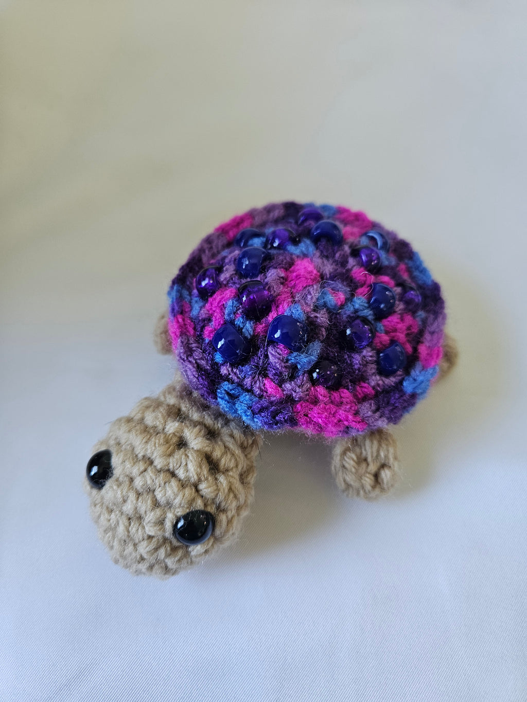 Fidget Turtle